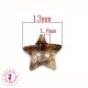 Etoile en nacre - 13 mm