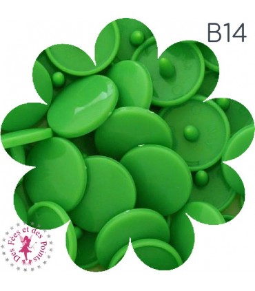 Pressions KAM - Rondes T5 Brillantes - Vert Printemps - B14