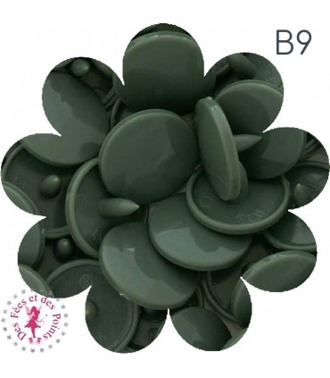 Pressions KAM - Rondes T5 Brillantes - Gris Vert - B9