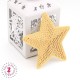 Etoiles en sequins / paillettes à thermocoller - 9 x 9 cm