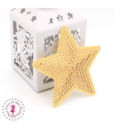 Etoiles en sequins / paillettes à thermocoller - 9 x 9 cm