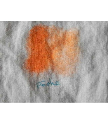 Bâton de peinture à l'huile Pêche