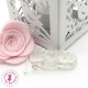 Pince Attache Tétine & Lolette - KAM - Transparent