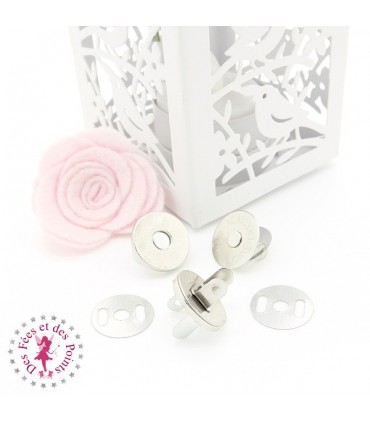 Set Mousquetons et Anneaux D pour sangle - 2.5 cm - Argent