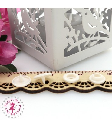 Pressions Kam - Rondes T5 Brillantes - Ivoire - BG109