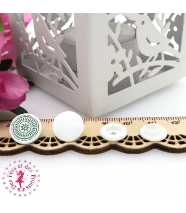 Pressions KAM - Rondes T5 Brillantes - Edelweiss Blanc - Vert