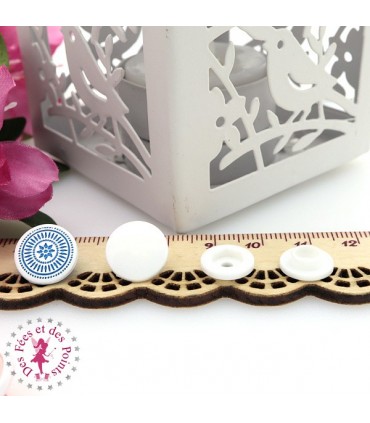 Pressions KAM - Rondes T5 Brillantes - Edelweiss Blanc - Bleu