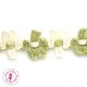 Galon Fleurettes - Vert / Ivoire