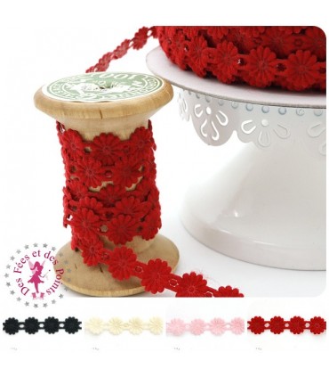 Galon thermocollant Marguerites - 4 couleurs