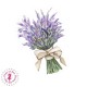 Autocollants/Stickers - Balade en Provence - Lavande