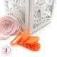 Pince Attache Tétine & Lolette - KAM - Ruban 25 mm - Orange - B55