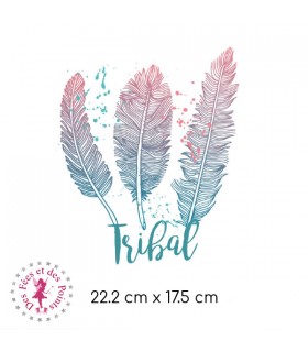 Transfert - Plumes Tribal