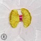 Noeud - Jaune/fushia