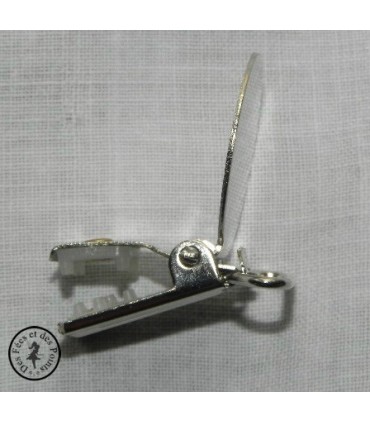 Pince métallique coeur