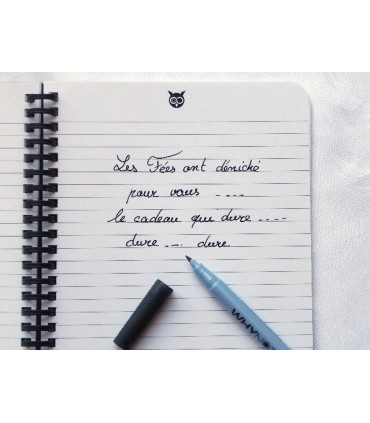Whynote https://www.desfeesetdespoints.ch/fr/287-cahier-whynote-et-accessoires