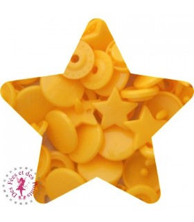 Pressions KAM - Etoile - Tournesol - B10