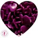 Pressions KAM - Coeur - Aubergine - B34